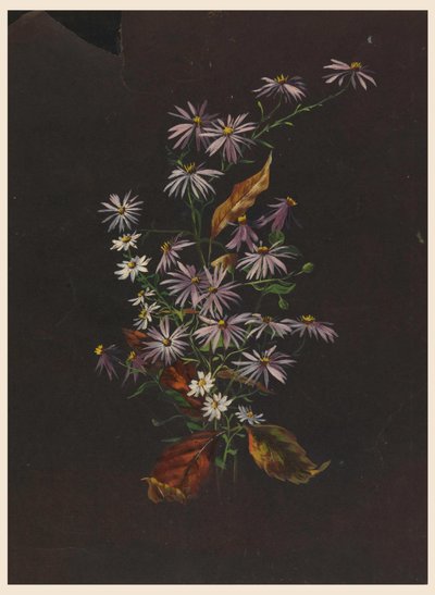 Bouquet de Outono, ca. 1890 de Sophia L. Crownfield