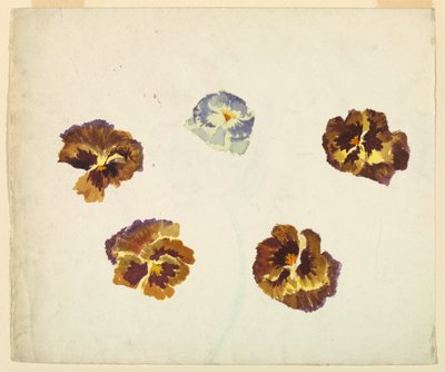 Reto de Sophia L. Crownfield