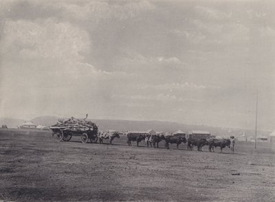 Um vagão de boi (foto a p/b) de South African Photographer