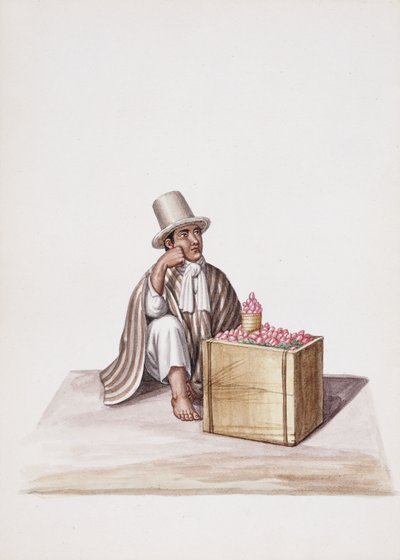 Tipos e Trajes de Nova Granada de South American School