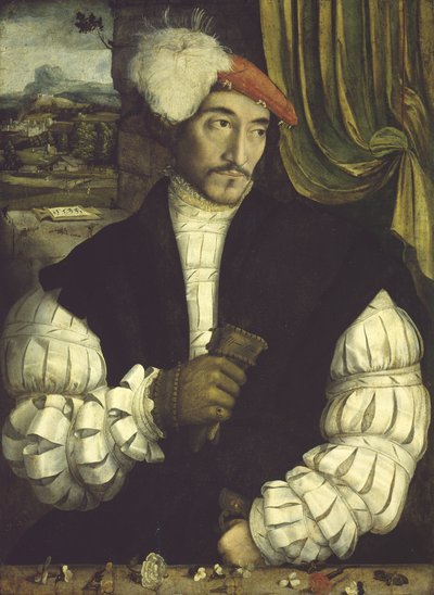 Retrato de um homem, 1533 de South German School