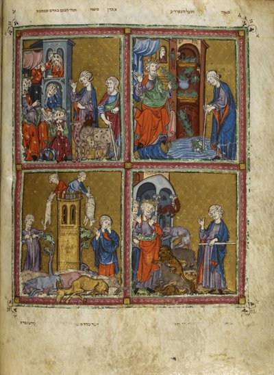 Adicionar. 27210, f.12v Cenas de Êxodo: As pragas de piolhos, sapos, murrain e pestilência, ilustrações de 