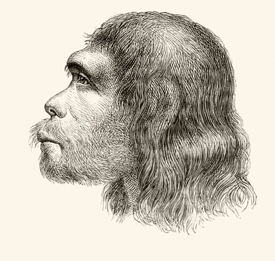 Chefe de um homem de Neandertal, de &39;Nuestro Siglo&39;, publicado Barcelona, 1883 de Spanish School