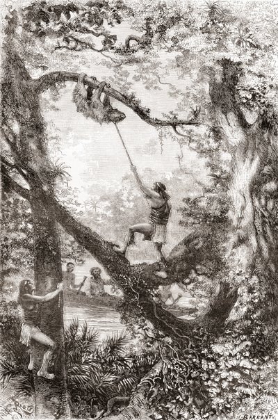 Índios nativos capturando uma preguiça de árvore no rio Oiapoque ou Oiapoque, América do Sul de Spanish School