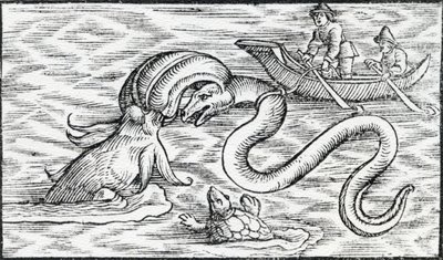 Monstros marinhos, 1511 de Spanish School