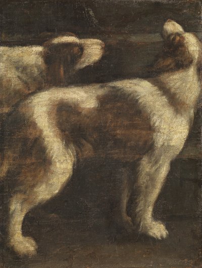 Dois cachorros de Spanish School