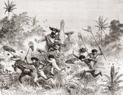 Édouard François André flagra borboletas em Villavicencio, Venezuela durante sua expedição de botanização no sopé dos Andes em 1875-76 de Spanish School