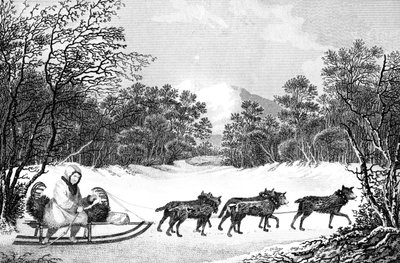 A maneira de viajar no inverno em Kamtschatka, século XIX. de Sparrow