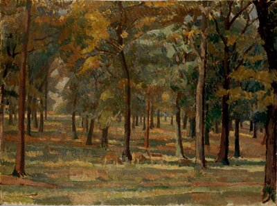 Parque Richmond, 1914 de Spencer Gore