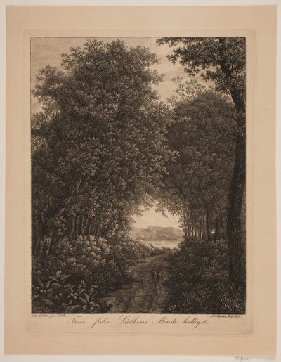 Estrada da floresta de Søren Henrik Petersen