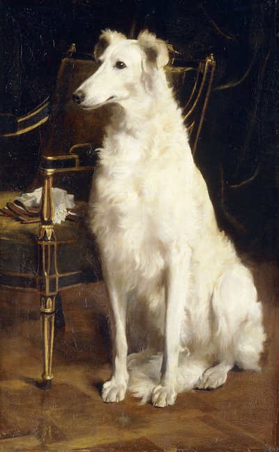 Um Borzoi por uma cadeira de St. George Hare