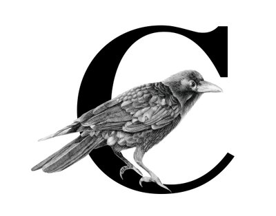 C is for Crow, 2018 (lápis de grafite e digital) de Stacy Hsu