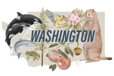 Símbolos do Estado de Washington, 2018 (lápis de grafite e digital) de Stacy Hsu