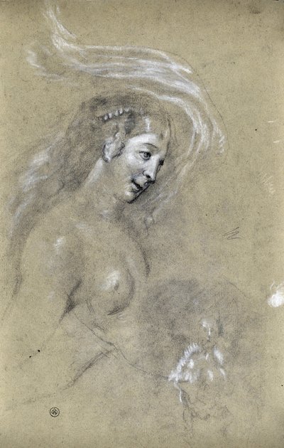Estudo do perfil da mulher (desenho) de Stanislas Torrents y de Amat