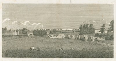Ponte Wolseley: gravura de Stebbing Shaw
