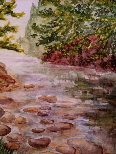 Na floresta - riacho de Steegs Art Karin