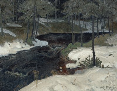 Bergstrom de Stefan Filipkiewicz