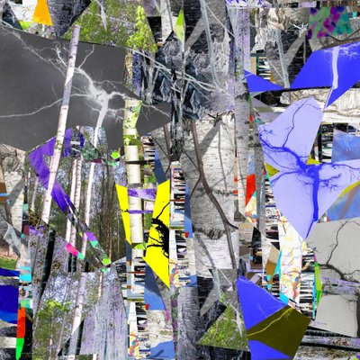 Floresta fragmentada de bétulas de Stefan Fransson