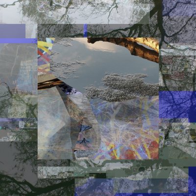 Reflexão numa árvore fragmentada de Stefan Fransson