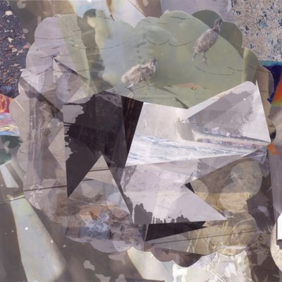 Pássaros abstratos em camadas de Stefan Fransson