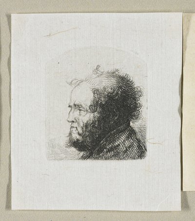Cabeça de um barbudo de perfil à esquerda de Stefan Juliusz Norblin de la Gourdaine