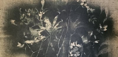 Estudo botânico escuro de Stefano Mazzolini
