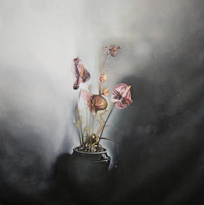  de Stefano Mazzolini