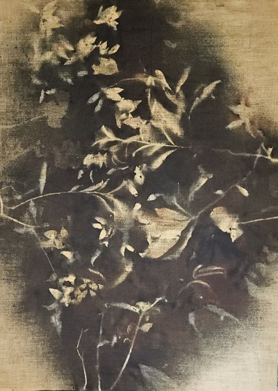 Sombras florais melancólicas de Stefano Mazzolini
