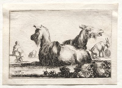 Caprichos: Duas cabras de Stefano della Bella