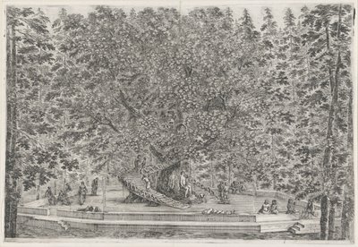 A árvore habitada no jardim de Villa Pratolino
Villa Pratolino (título da série)
Vues de la villa de Pratolino (título da série) de Stefano della Bella