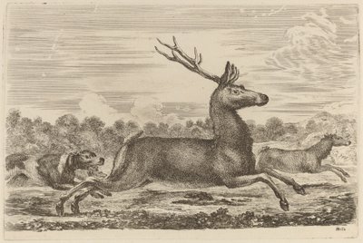 Cervo perseguido por dois cães à esquerda de Stefano della Bella