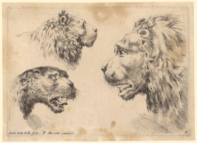  de Stefano della Bella
