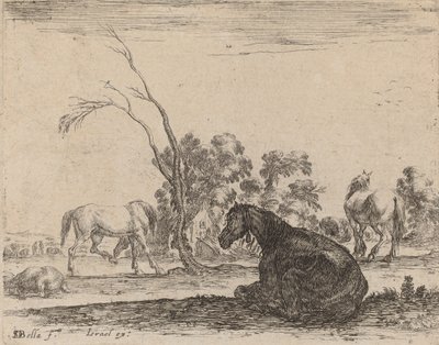 Cavalos em um pasto, 1642. de Stefano della Bella