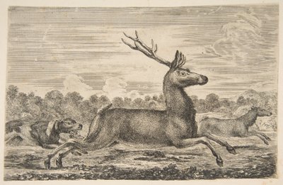 Cães perseguindo um veado e uma corça, ca. 1654 de Stefano della Bella