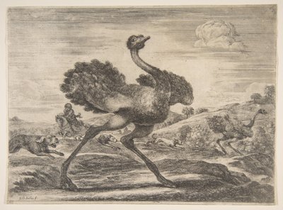 Caça ao avestruz, de Caça de animais Caça de animais diferentes, ca. 1654 de Stefano della Bella