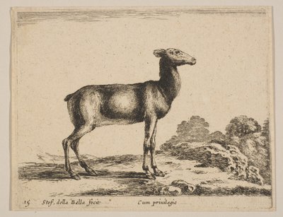 Placa 15: corça, de "Vários animais" Diversi animali, ca. 1641. de Stefano della Bella