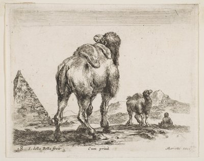 Ilustração 18: camelo visto de trás com pirâmide à esquerda, de Various animals Diver ..., ca. 1641 de Stefano della Bella