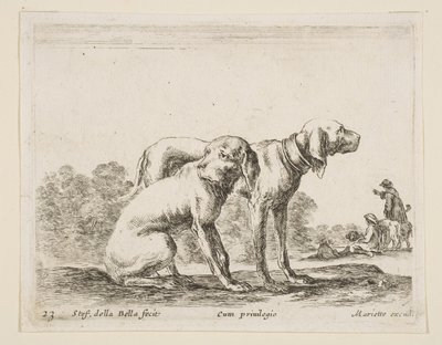 Ilustração 23: dois cães, de Various animals Diversi animali, ca. 1641 de Stefano della Bella