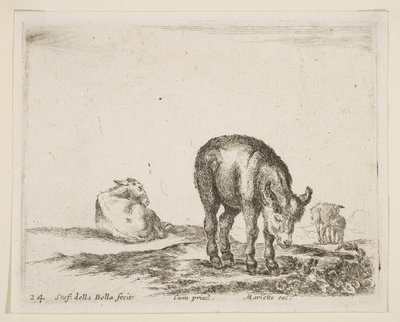 Ilustração 24: burros, de vários animais Diversi animali, ca. 1641 de Stefano della Bella
