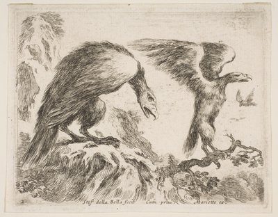 Ilustração 2: águia e aguia, de Various animals Diversi animali, ca. 1641 de Stefano della Bella