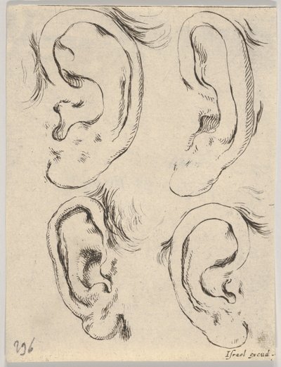 Ilustração 5: quatro orelhas, do Livro para aprender a desenhar livre pour apprendre à dessi ..., ca. 1649 de Stefano della Bella