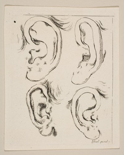 Ilustração 5: quatro orelhas, do Livro para aprender a desenhar livre pour apprendre à dessi ..., ca. 1649 de Stefano della Bella