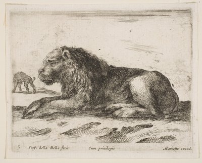 Ilustração 5: leão reclinado, de Various animals Diversi animali, 1641. de Stefano della Bella