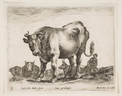 Ilustração 8: vaca, de vários animais Diversi animali, ca. 1641 de Stefano della Bella