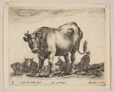 Placa 8: boi, de "Vários animais" Diversi animali, ca. 1641. de Stefano della Bella