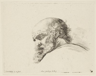  de Stefano della Bella