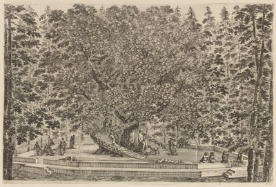 A Árvore Habitada, provavelmente 1653. de Stefano della Bella