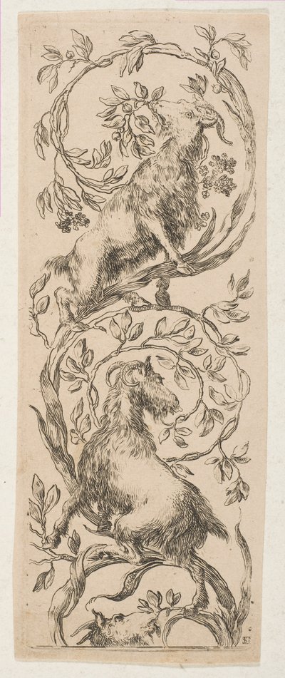 Duas cabras mordiscando galhos, ca. 1653. de Stefano della Bella