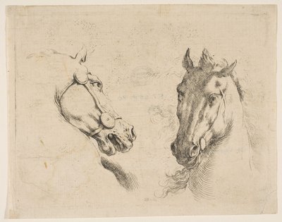 Duas cabeças de cavalo, ca. 1649 de Stefano della Bella