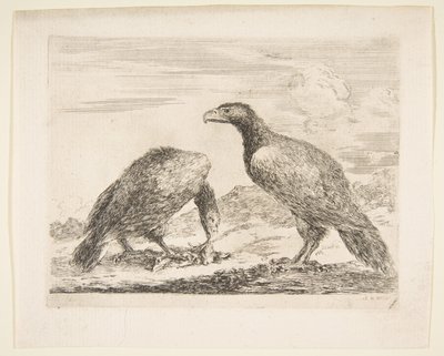 Duas águias, uma devorando um cordeiro, de Eagles Les aigles, ca. 1651 de Stefano della Bella